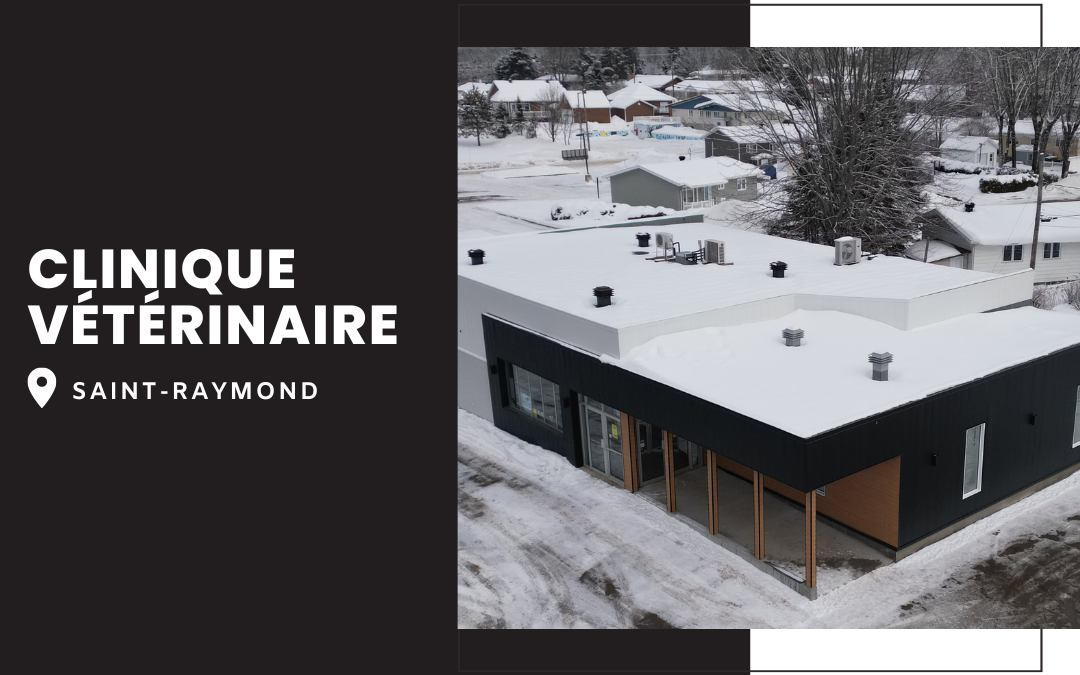 Clinique vétérinaire